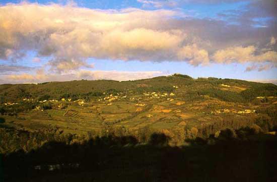 vaglia