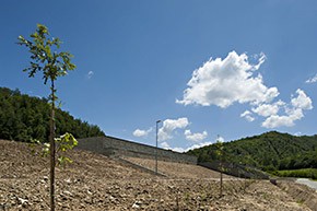 faltona3