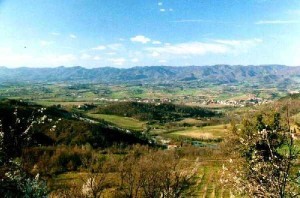 Panorama_su_Vicchio