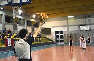 basket2