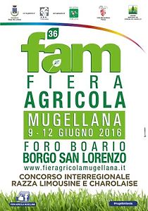 manifesto FAM 2016
