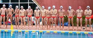 pallanuoto